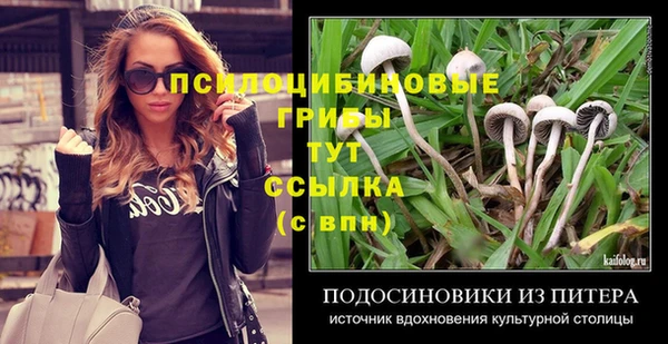 spice Армянск