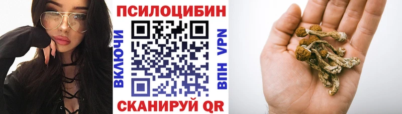 Галлюциногенные грибы мицелий  Балашиха 